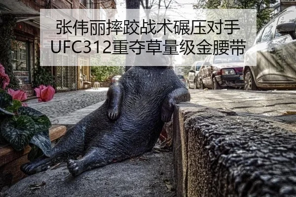 张伟丽摔跤战术碾压对手 UFC312重夺草量级金腰带