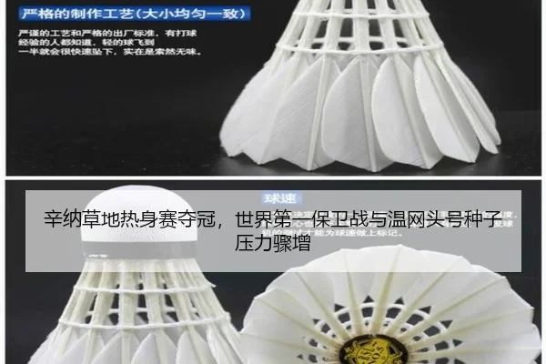 xin-na-cao-di-re-shen-sai-duo-guan-shi-jie-di-yi-bao-wei-zhan-yu-wen-wang-tou-hao-zhong-zi-ya-li-zhou-zeng-2-478.jpg