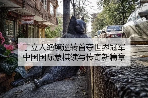 丁立人绝境逆转首夺世界冠军 中国国际象棋续写传奇新篇章