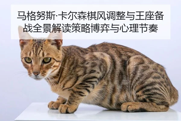 ma-ge-nu-si-ka-er-sen-qi-feng-tiao-zheng-yu-wang-zuo-bei-zhan-quan-jing-jie-du-ce-lve-bo-yi-yu-xin-li-jie-zou-2-688.jpg